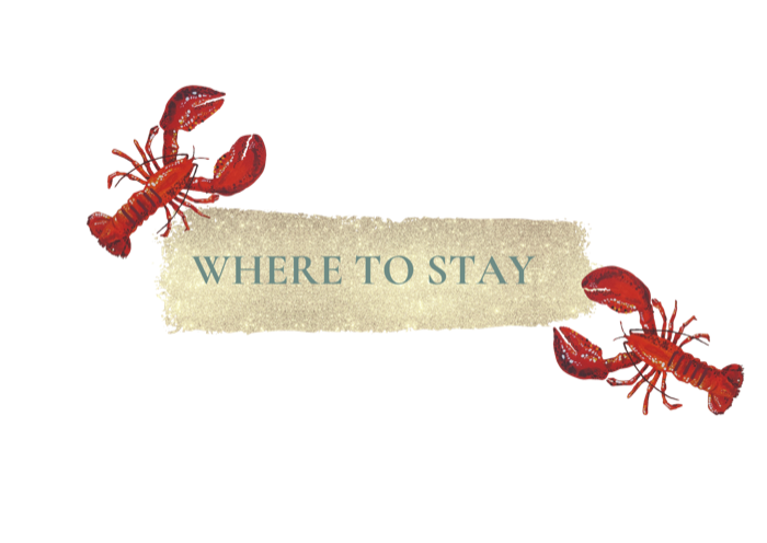 Lobster illustration