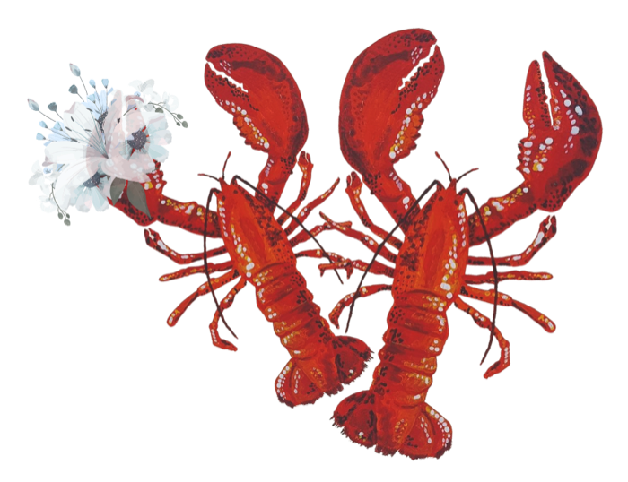 Lobster illustration